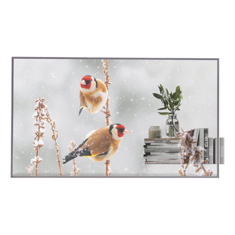 55EW5P-M 55IN OLED 1920X1080 16:9 400N